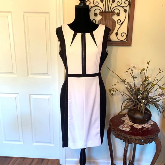 Tahari- Levine Studio Dresses & Skirts - Tahari-Levine Studio Black & White Sheath Dress 10